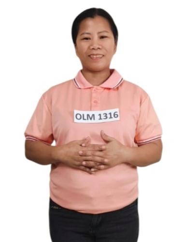 OLM 1316